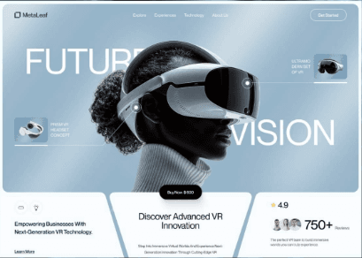 MetaLeaf Future Vision
